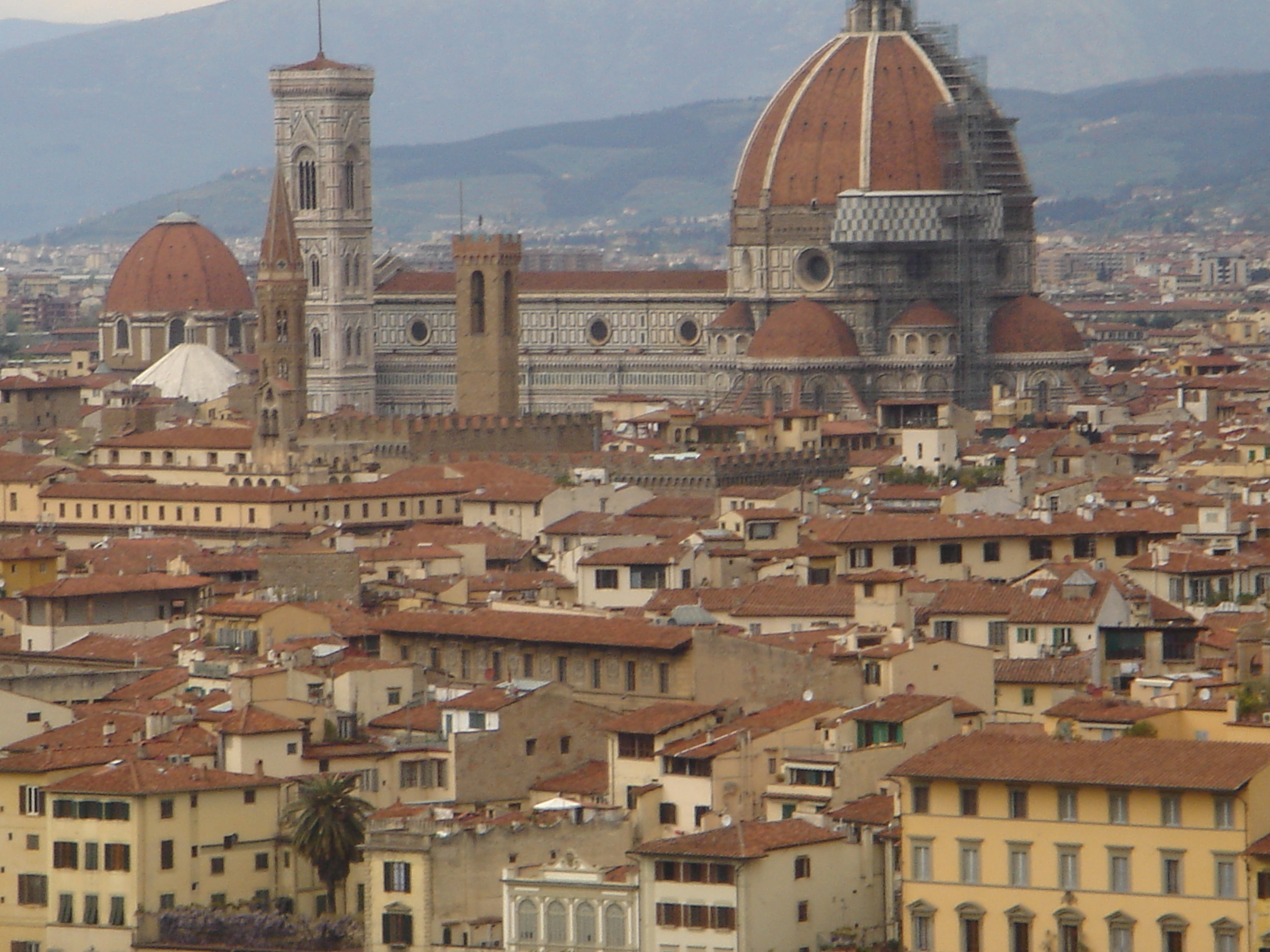 miniatura_firenze